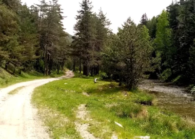 Arrow Aventure - Road Trip - 02