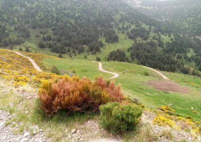 Arrow Aventure - Road Trip - 06